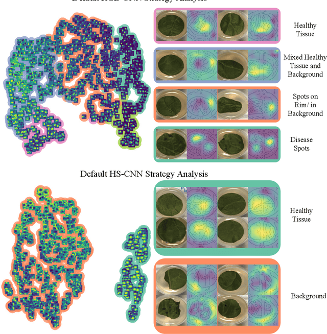 Figure 4 for Right for the Wrong Scientific Reasons: Revising Deep Networks by Interacting with their Explanations