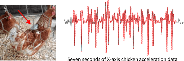 Figure 1 for Time Series Classification to Improve Poultry Welfare