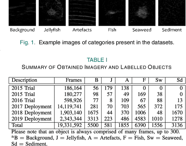 Figure 1 for Improving Automated Sonar Video Analysis to Notify About Jellyfish Blooms