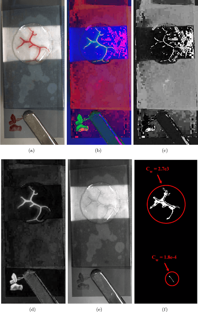 Figure 1 for On complexity of branching droplets in electrical field