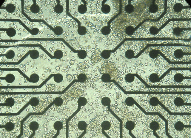 Figure 1 for Connecting Spiking Neurons to a Spiking Memristor Network Changes the Memristor Dynamics