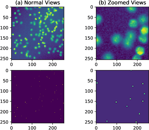 Figure 3 for Exploring Cell counting with Neural Arithmetic Logic Units