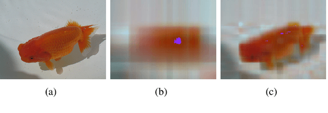 Figure 1 for Curvature-based Comparison of Two Neural Networks