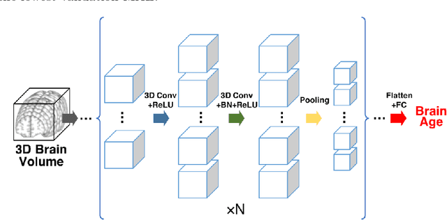 Figure 2 for Estimating brain age based on a healthy population with deep learning and structural MRI