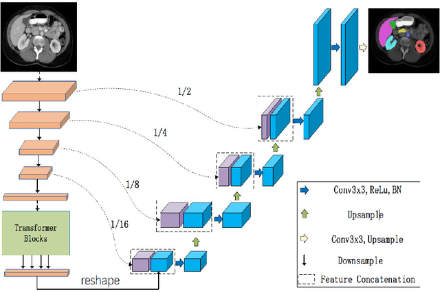 Figure 3 for LeViT-UNet: Make Faster Encoders with Transformer for Medical Image Segmentation
