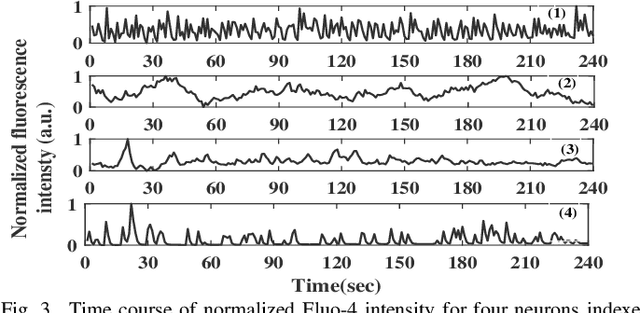 Figure 3 for Information Content in Neuronal Calcium Spike Trains: Entropy Rate Estimation based on Empirical Probabilities