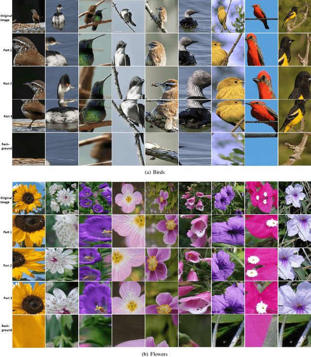 Figure 4 for Part-Aware Fine-grained Object Categorization using Weakly Supervised Part Detection Network