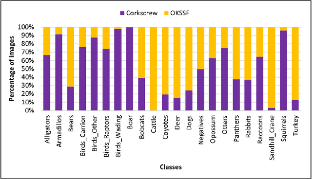 Figure 3 for Florida Wildlife Camera Trap Dataset