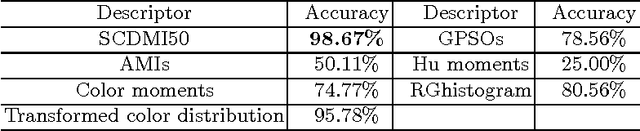 Figure 3 for Shape-Color Differential Moment Invariants under Affine Transformations
