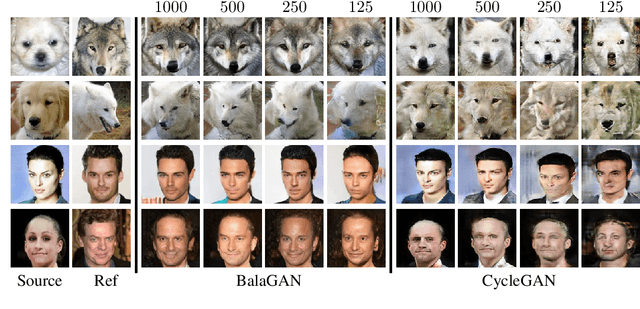 Figure 4 for BalaGAN: Image Translation Between Imbalanced Domains via Cross-Modal Transfer