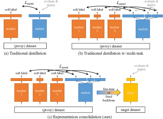 Figure 1 for Representation Consolidation for Training Expert Students