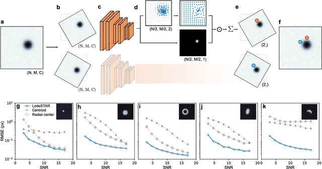 Figure 1 for Single-shot self-supervised particle tracking