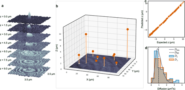 Figure 4 for Single-shot self-supervised particle tracking