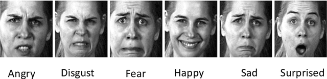Figure 4 for An optimized Capsule-LSTM model for facial expression recognition with video sequences