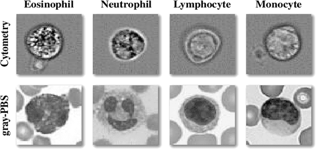 Figure 3 for Target-Independent Domain Adaptation for WBC Classification using Generative Latent Search