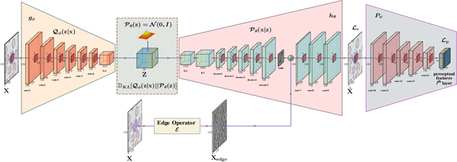Figure 1 for Target-Independent Domain Adaptation for WBC Classification using Generative Latent Search