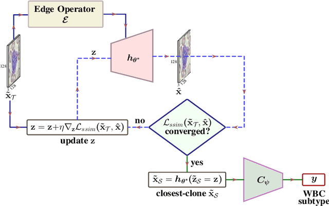 Figure 4 for Target-Independent Domain Adaptation for WBC Classification using Generative Latent Search
