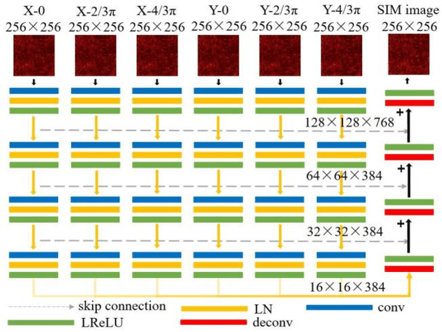 Figure 3 for Single-shot structured illumination microscopy
