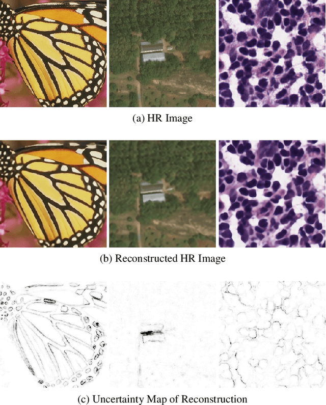 Figure 1 for Fast Bayesian Uncertainty Estimation of Batch Normalized Single Image Super-Resolution Network