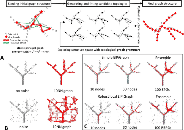Figure 1 for Robust And Scalable Learning Of Complex Dataset Topologies Via Elpigraph