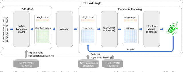 Figure 1 for HelixFold-Single: MSA-free Protein Structure Prediction by Using Protein Language Model as an Alternative
