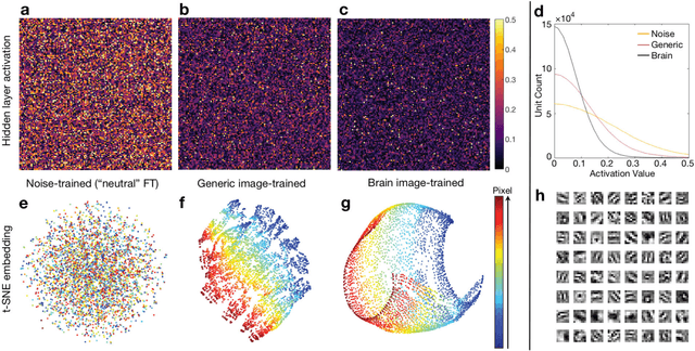 Figure 3 for Image reconstruction by domain transform manifold learning