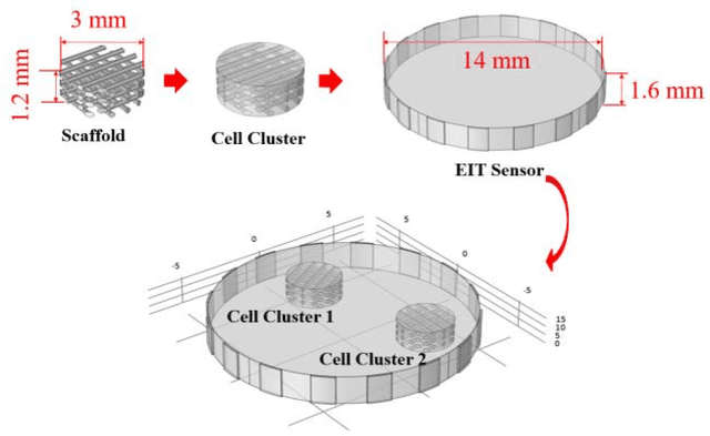 Figure 2 for Impedance-optical Dual-modal Cell Culture Imaging with Learning-based Information Fusion