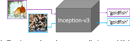 Figure 1 for NeuCEPT: Locally Discover Neural Networks' Mechanism via Critical Neurons Identification with Precision Guarantee