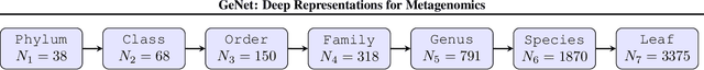 Figure 1 for GeNet: Deep Representations for Metagenomics