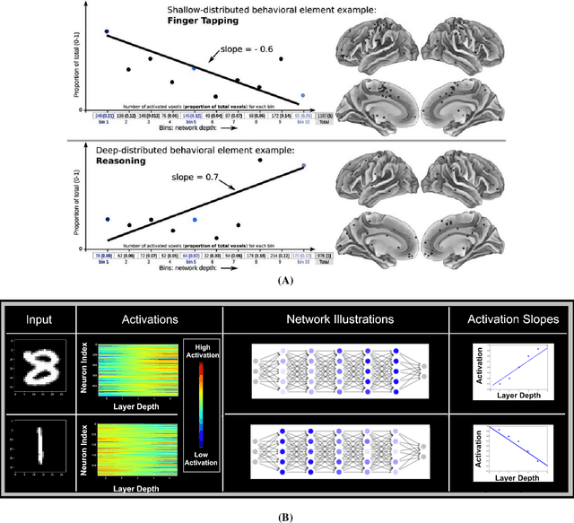 Figure 1 for Deep Neural Networks Abstract Like Humans