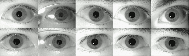 Figure 3 for High-Order Multilinear Discriminant Analysis via Order-$\textit{n}$ Tensor Eigendecomposition