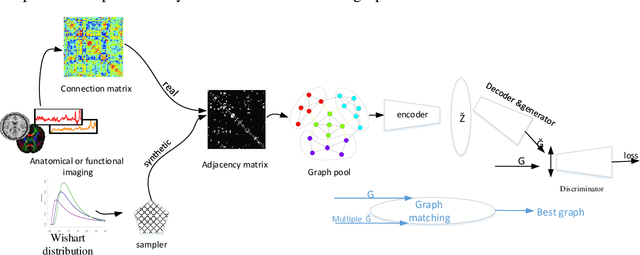 Figure 1 for Graph-Based Method for Anomaly Prediction in Functional Brain Network