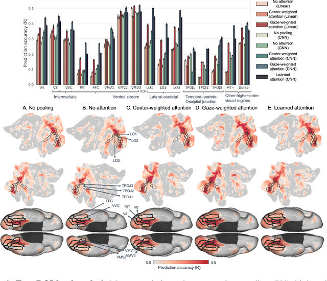 Figure 4 for Neural encoding with visual attention