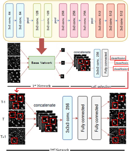 Figure 2 for A Cascade of 2.5D CNN and LSTM Network for Mitotic Cell Detection in 4D Microscopy Image