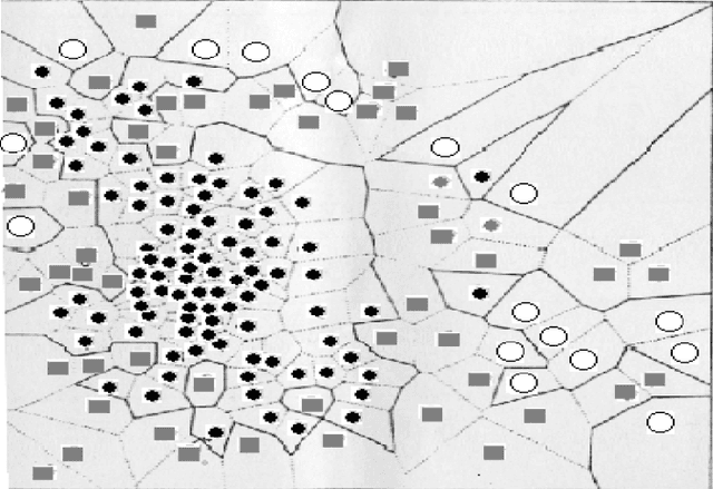 Figure 1 for Swarm-Based Spatial Sorting