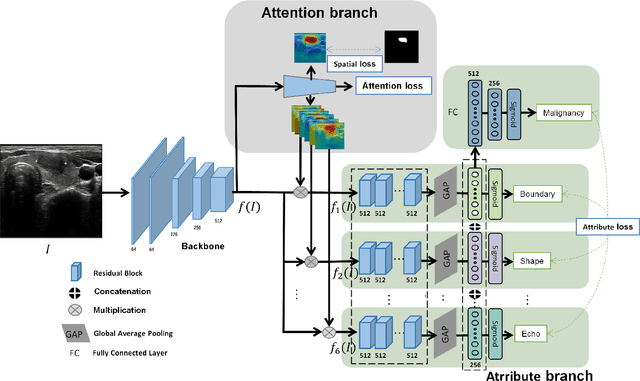 Figure 2 for Multi-Attribute Attention Network for Interpretable Diagnosis of Thyroid Nodules in Ultrasound Images