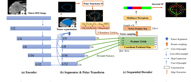 Figure 3 for Sequential Learning on Liver Tumor Boundary Semantics and Prognostic Biomarker Mining