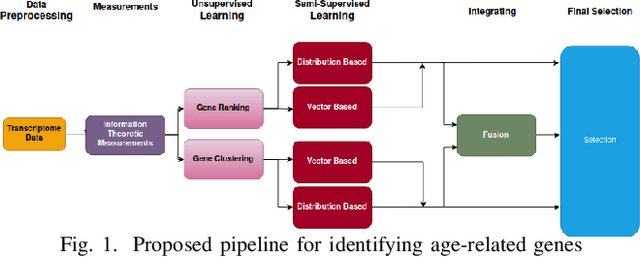 Figure 1 for An Information-Theoretic Framework for Identifying Age-Related Genes Using Human Dermal Fibroblast Transcriptome Data