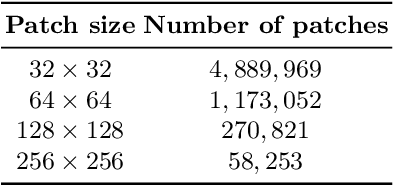 Figure 1 for Patch Selection for Melanoma Classification