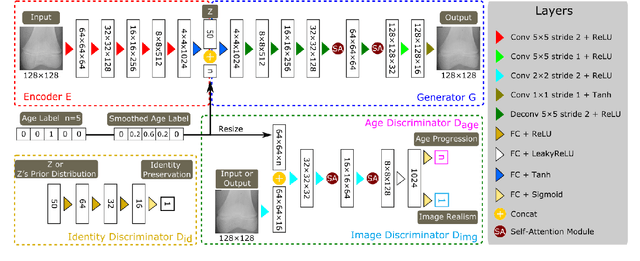 Figure 3 for BAPGAN: GAN-based Bone Age Progression of Femur and Phalange X-ray Images