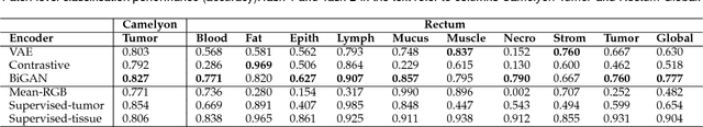 Figure 2 for Neural Image Compression for Gigapixel Histopathology Image Analysis