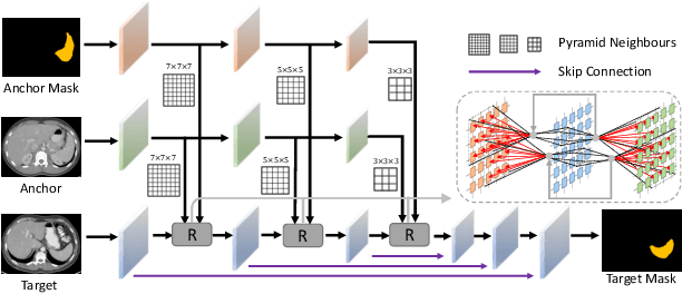 Figure 3 for Generalized Organ Segmentation by Imitating One-shot Reasoning using Anatomical Correlation