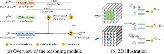 Figure 4 for Generalized Organ Segmentation by Imitating One-shot Reasoning using Anatomical Correlation