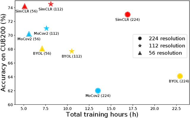 Figure 1 for Rethinking Self-Supervised Learning: Small is Beautiful