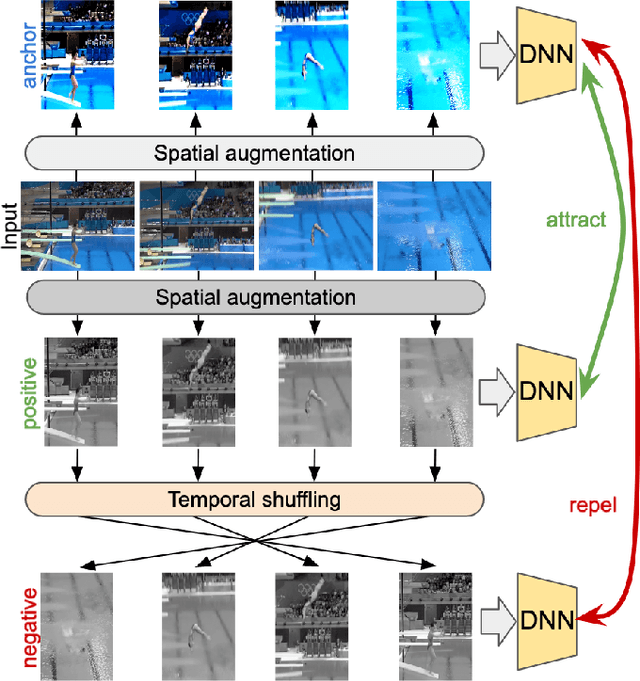 Figure 1 for SCVRL: Shuffled Contrastive Video Representation Learning