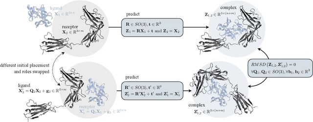 Figure 3 for Independent SE-Equivariant Models for End-to-End Rigid Protein Docking