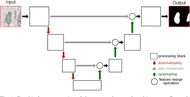 Figure 1 for Stable deep neural network architectures for mitochondria segmentation on electron microscopy volumes