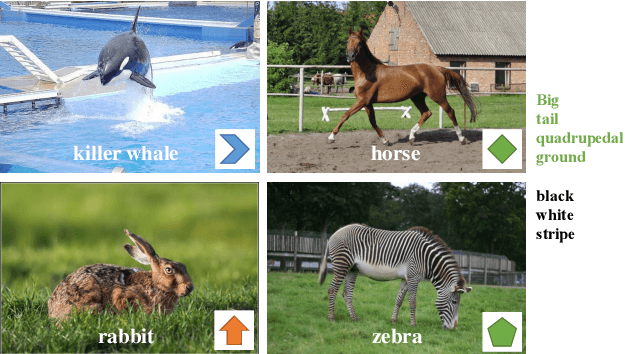Figure 1 for Cluster-based Contrastive Disentangling for Generalized Zero-Shot Learning