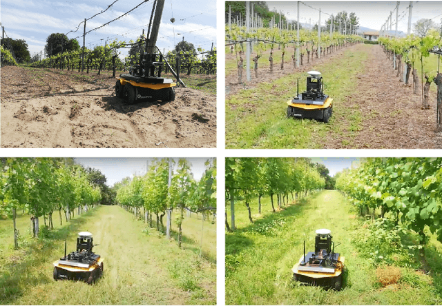 Figure 1 for A Deep Learning Driven Algorithmic Pipeline for Autonomous Navigation in Row-Based Crops