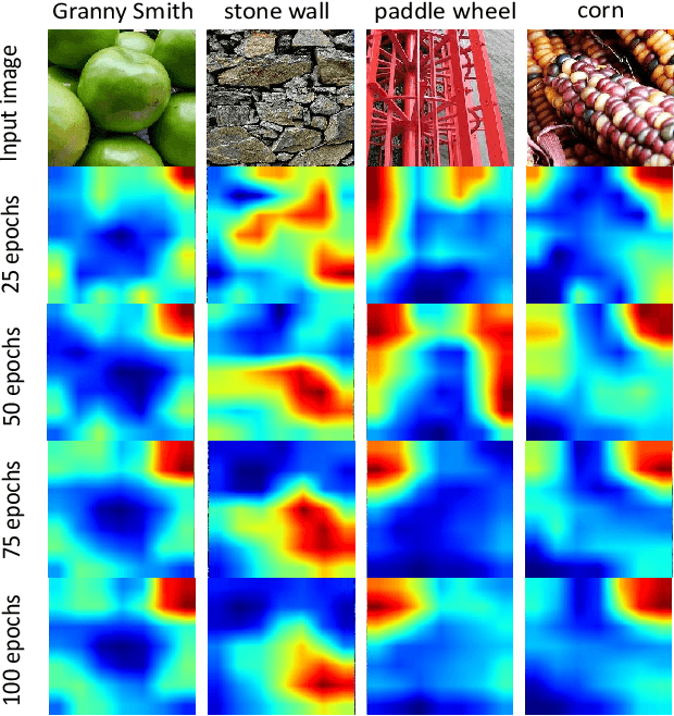 Figure 1 for SelectScale: Mining More Patterns from Images via Selective and Soft Dropout